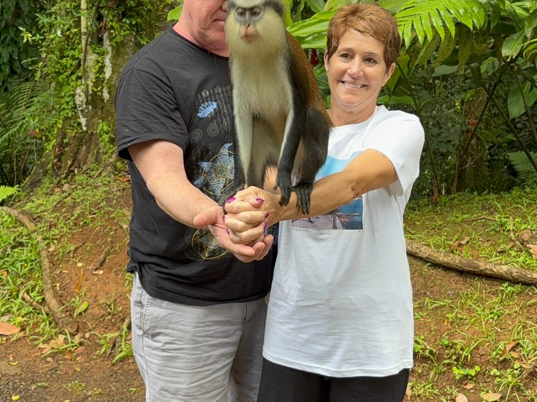 Sun Hunters-Saint George Parish必去景点