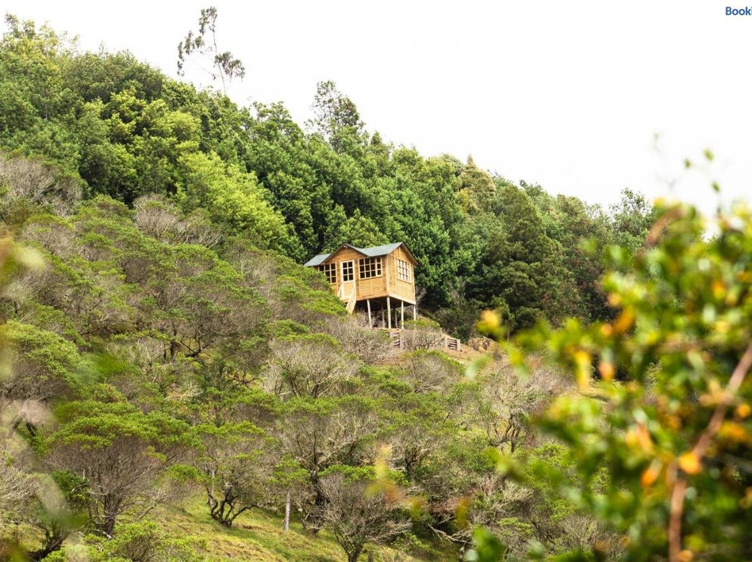 Paradise Glamping