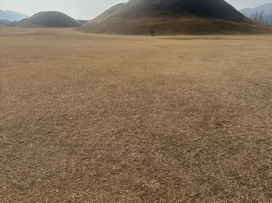 Daereungwon Tomb Complex-庆州市必去景点