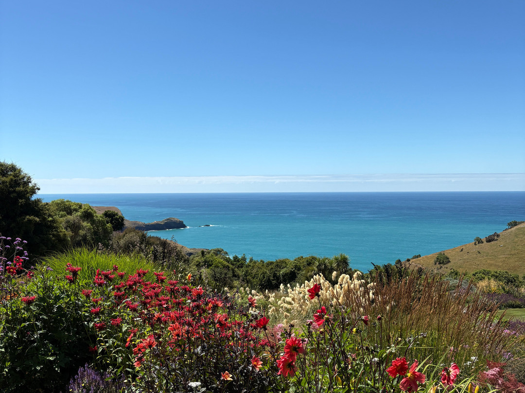 Fishermans Bay Garden-阿卡罗阿必去景点