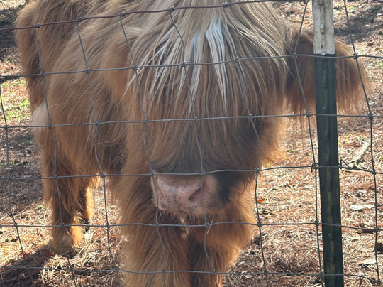 Redemptive Love Farm-Miccosukee必去景点