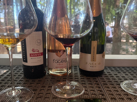 Lidio Carraro Vinícola Boutique-本图贡萨尔维斯必去景点