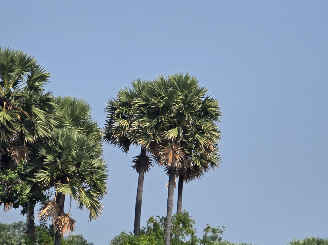 Catchmytrip-Greater Noida必去景点
