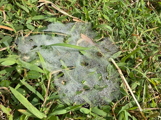 Vessagiriya Ruins-阿努拉德普勒圣城必去景点