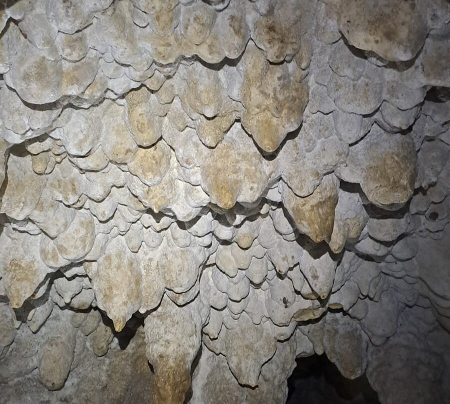 Cavernas Jumandy-Archidona必去景点