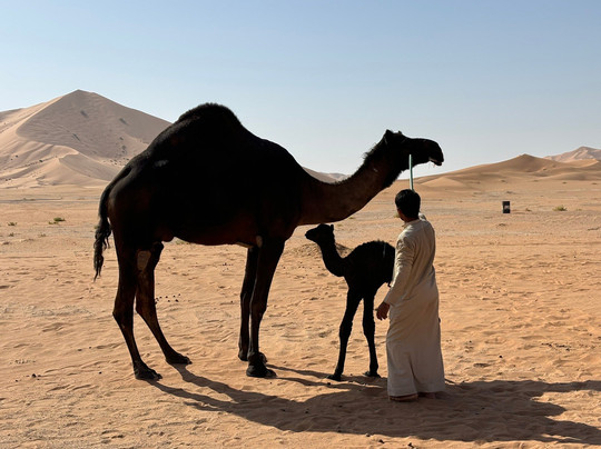 Ahmed Salalah tour guide-塞拉莱必去景点