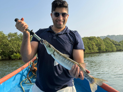Dolphin Boat Trips Adventures North Goa-Nerul必去景点