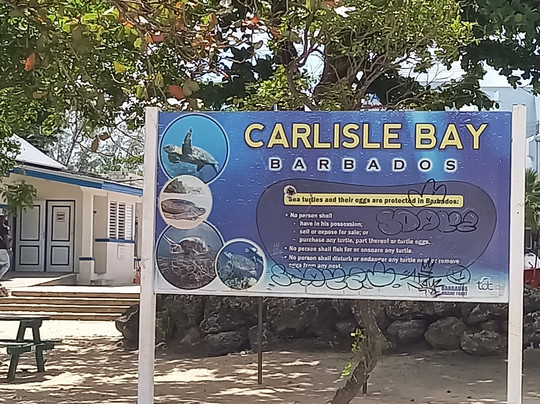 Browne's Beach-布里奇顿必去景点