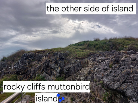 Coffs Harbour Muttonbird Island-科夫斯港必去景点