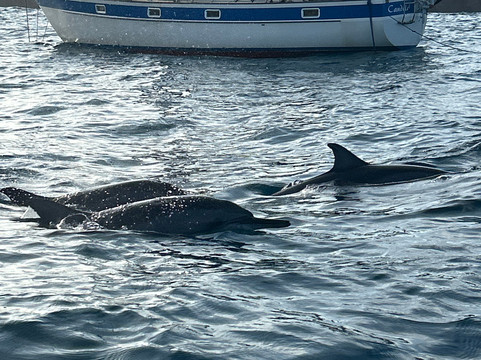 Slow Travel Noronha-Vila dos Remedios必去景点