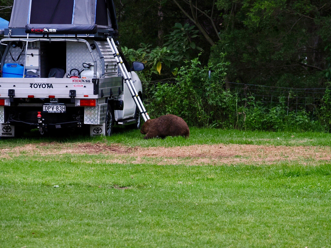Bendeela Camping and Picnic Area-袋鼠谷必去景点