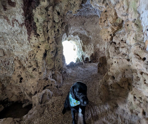 Painshill-科巴姆必去景点