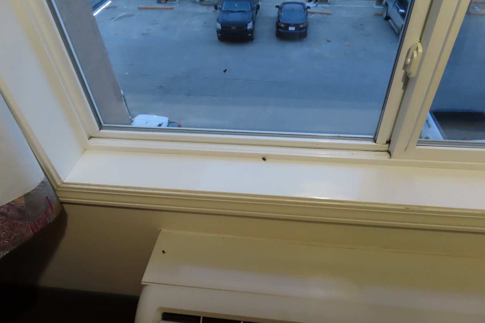 德雷顿谷福克斯伍德套房酒店-客卧