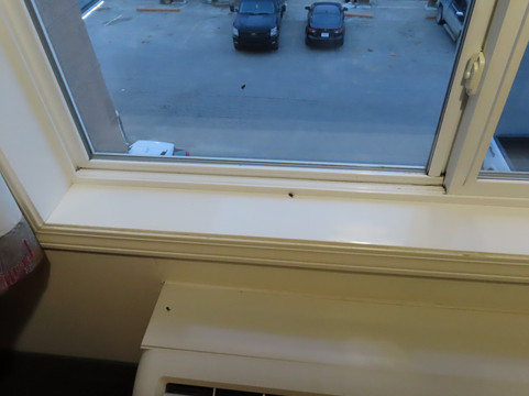 德雷顿谷福克斯伍德套房酒店主图