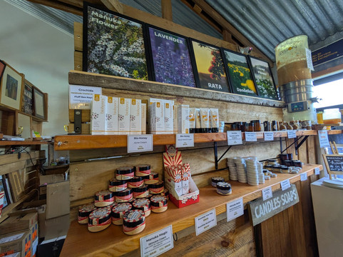 Buzzstop-皇后镇必去景点