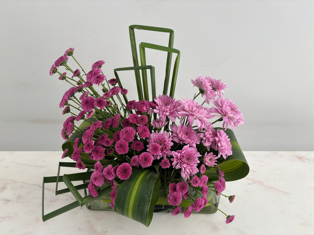 贝尔泽亚南比亚尔俱乐部酒店主图