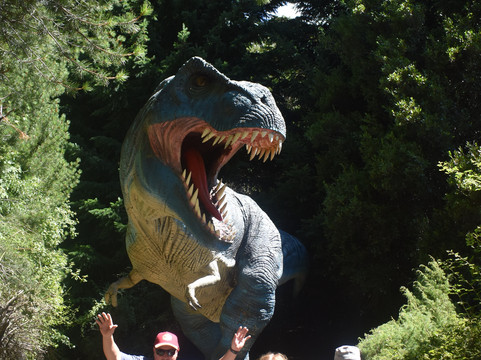 Parque Nahuelito-圣卡洛斯-德巴里洛切必去景点