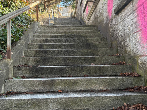 Munot-沙夫豪森必去景点