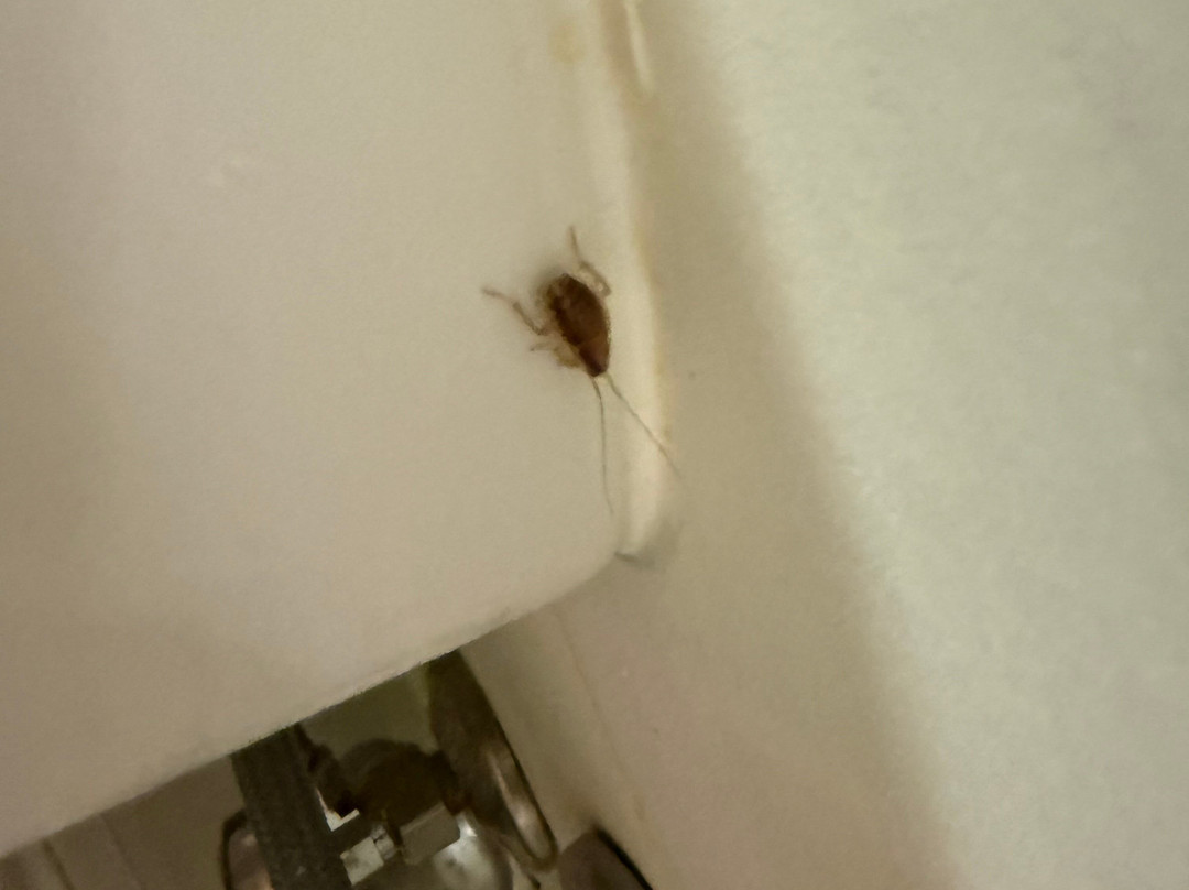 芝加哥沃基根/古尼万豪SpringHill酒店主图