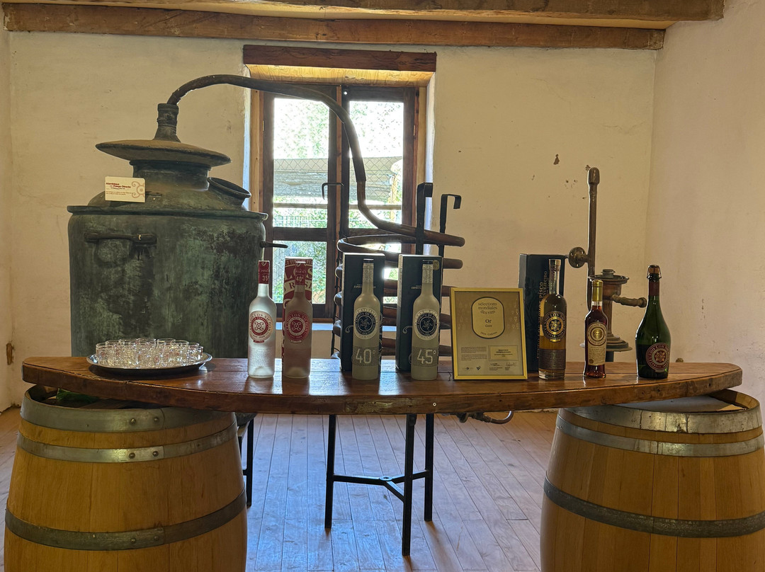 Fundo Los Nichos-Pisco Elqui必去景点