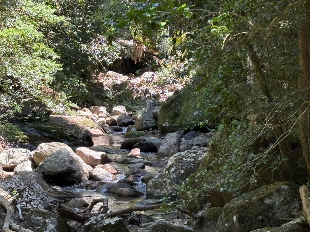 Minnamurra Falls-Jamberoo必去景点