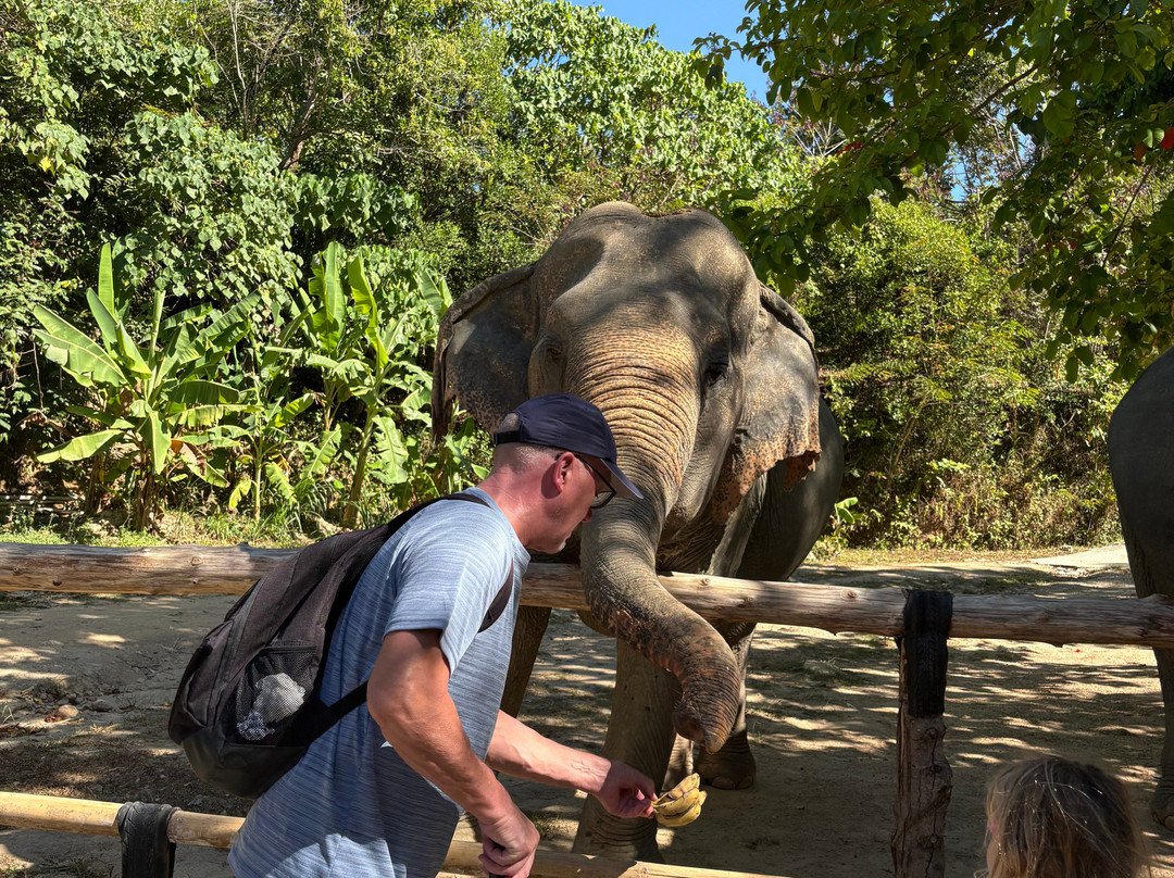 Hidden Forest Elephant Reserve-查龙必去景点