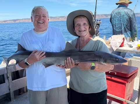 Emu Bay Fishing Charters-Emu Bay必去景点