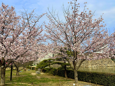 玉藻公园-高松市必去景点