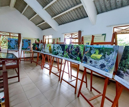 Grande Montagne Nature Reserve-罗德里格斯岛必去景点