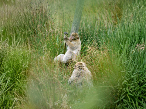 Wild Ireland-Burnfoot必去景点