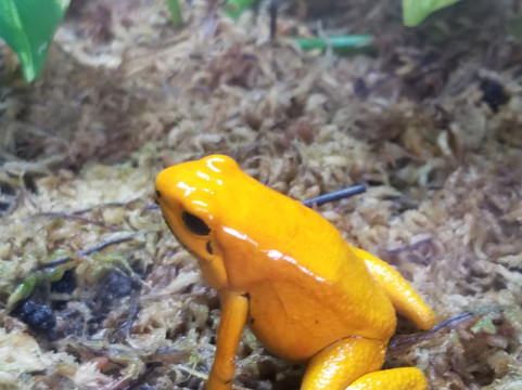 Virginia Aquarium & Marine Science Center-弗吉尼亚海滩必去景点