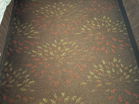 弗兰肯默斯智选假日酒店主图