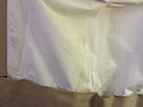 恩波里亚贝斯特韦斯特酒店主图