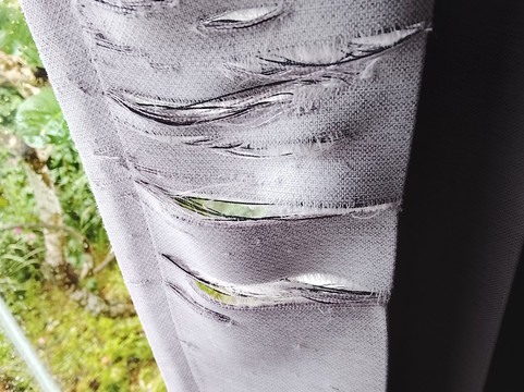 无尽夏日度假村主图