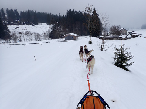 Fischer Adventures Day Tours-圣加仑必去景点