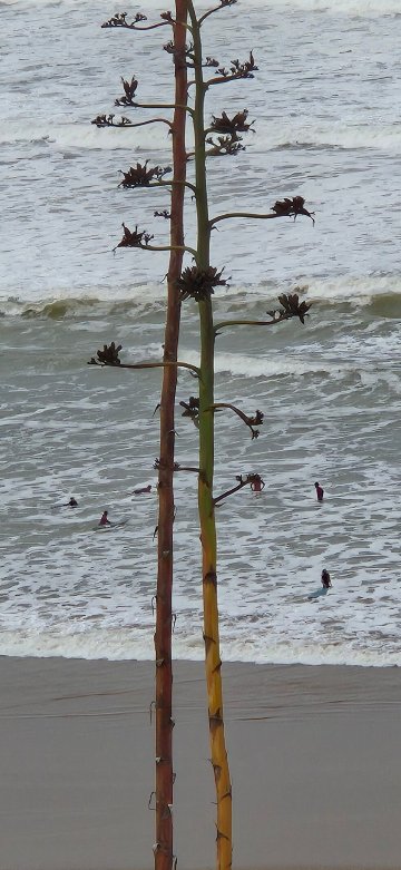 塔贝尔库特古堡住宿加早餐旅馆-官方