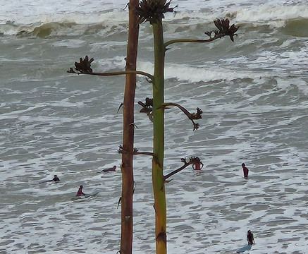 塔贝尔库特古堡住宿加早餐旅馆主图