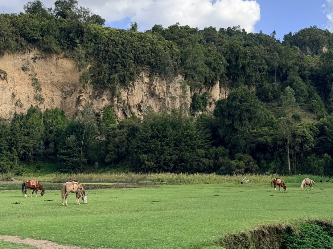 Arre Tours and Travel-默克莱必去景点