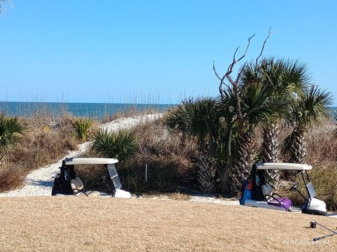 Robert Trent Jones Oceanfront Course-希尔顿头岛必去景点