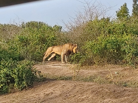 Afrika Panthera Safaris-Fort Portal必去景点