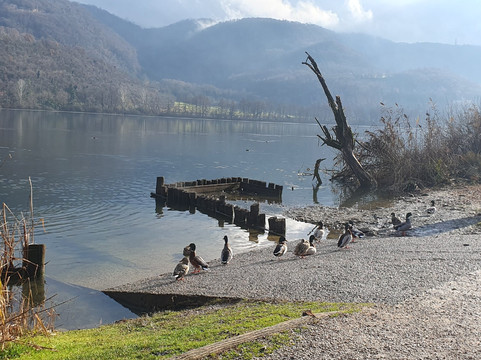 Lago di Fimon-Arcugnano必去景点