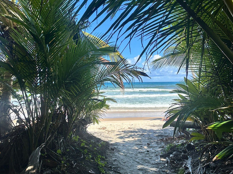 Praia Itacarezinho-Itacare必去景点