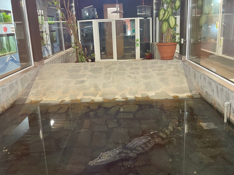 Zoo Ramnicu Valcea-勒姆尼库沃尔恰必去景点