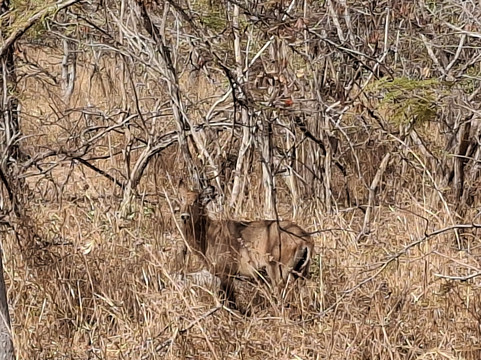 Gambia and Senegal tours with Ebrima-Tanji必去景点