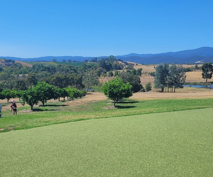 Australian Journeys-墨尔本必去景点