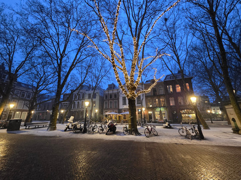 欣费尔德酒店主图