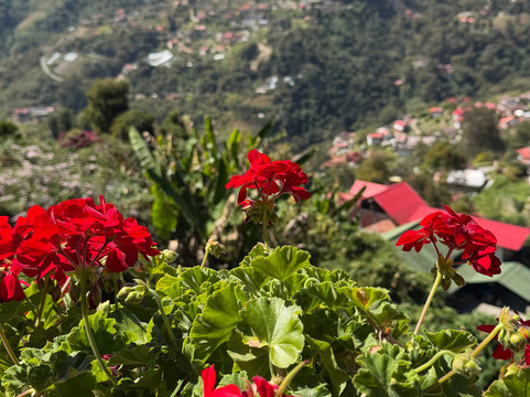 Posada Don Elicio主图