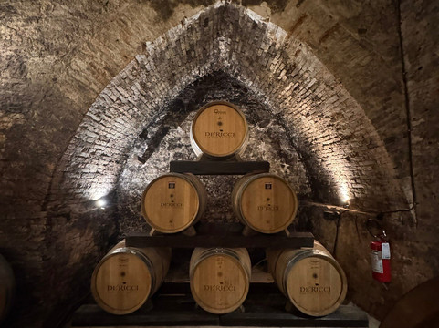 De'Ricci Cantine Storiche-蒙特普尔恰诺必去景点