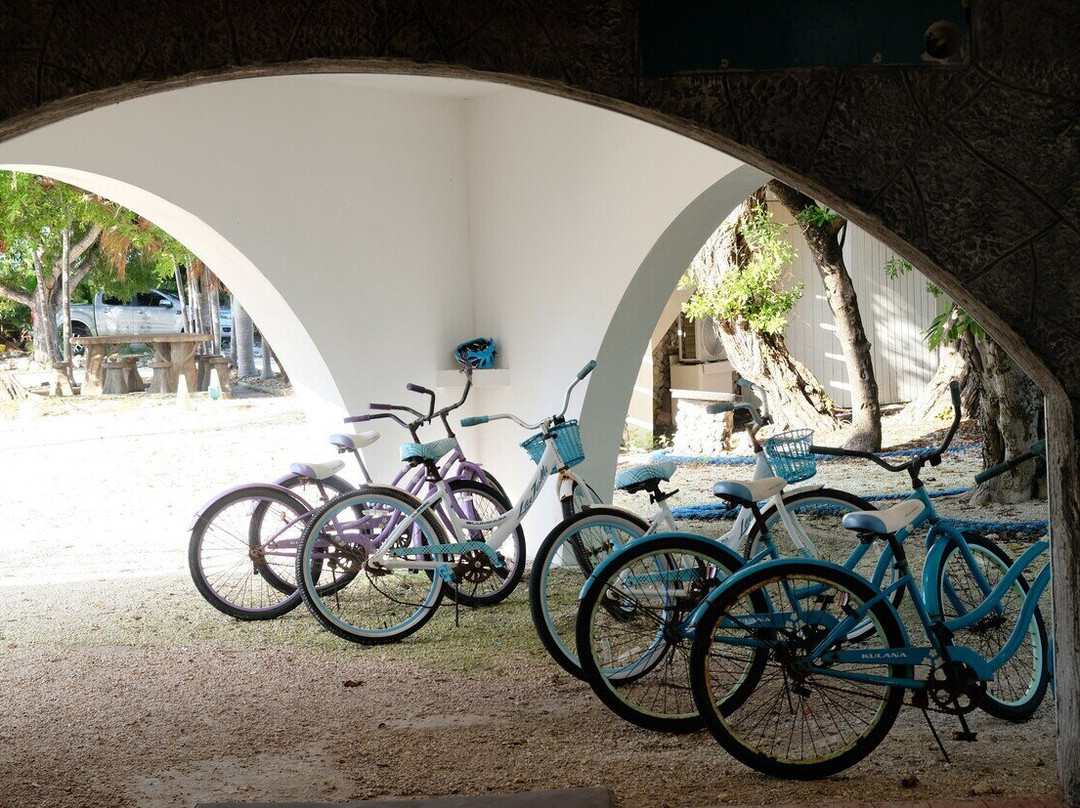 巴纳克度假村主图