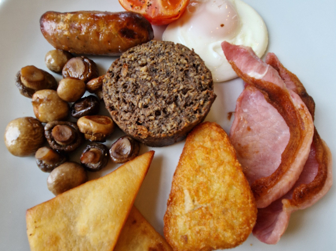 斯普林克尔旅馆主图